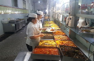 饮食公司开展食品及生产安全专项检查，筑牢餐饮管理安全防线