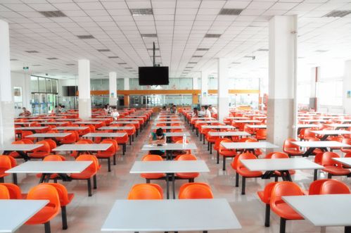 禅城区化工厂员工食堂外包管理方案